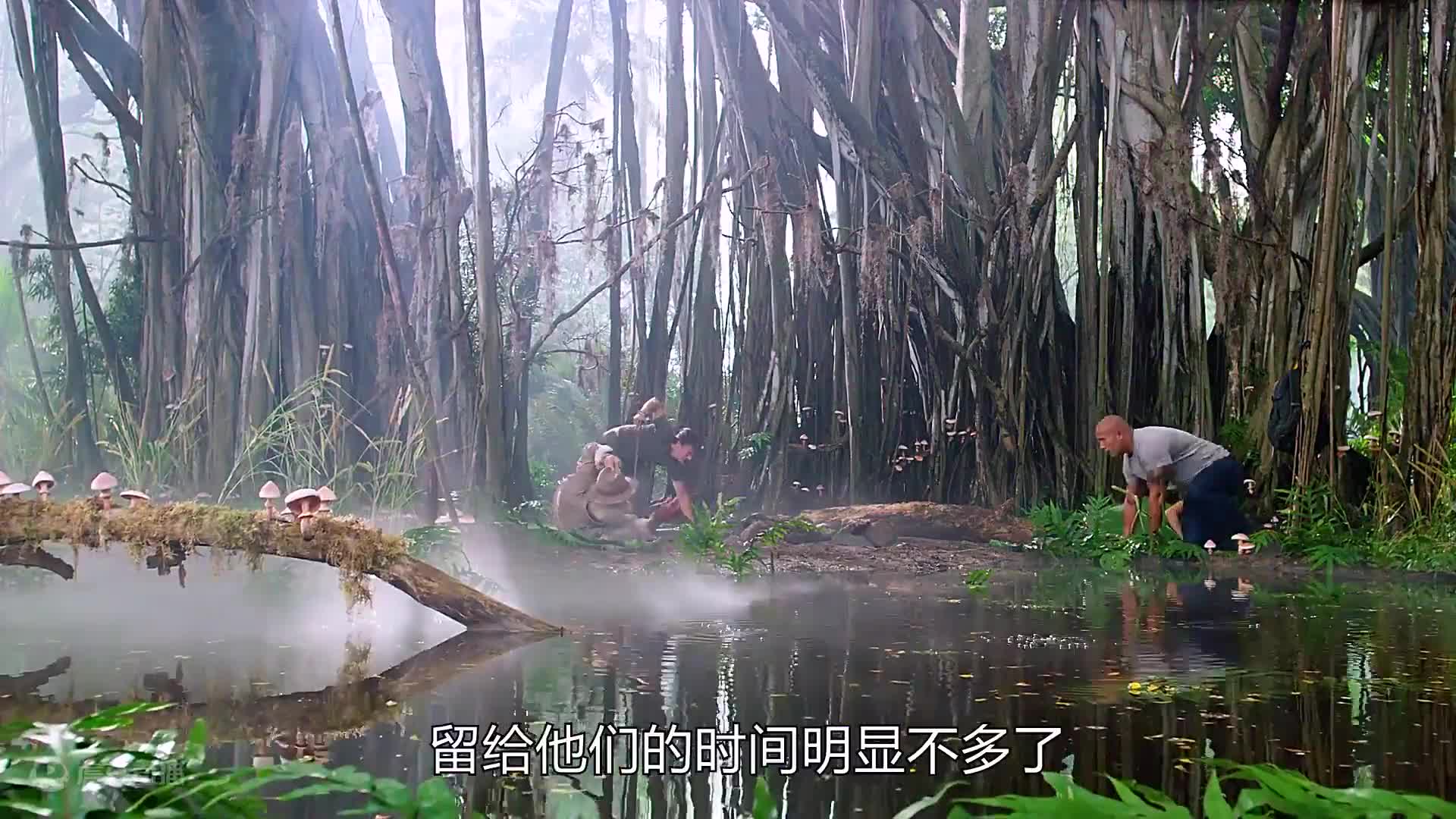 700W粉丝博主精彩电影解说全天轮播