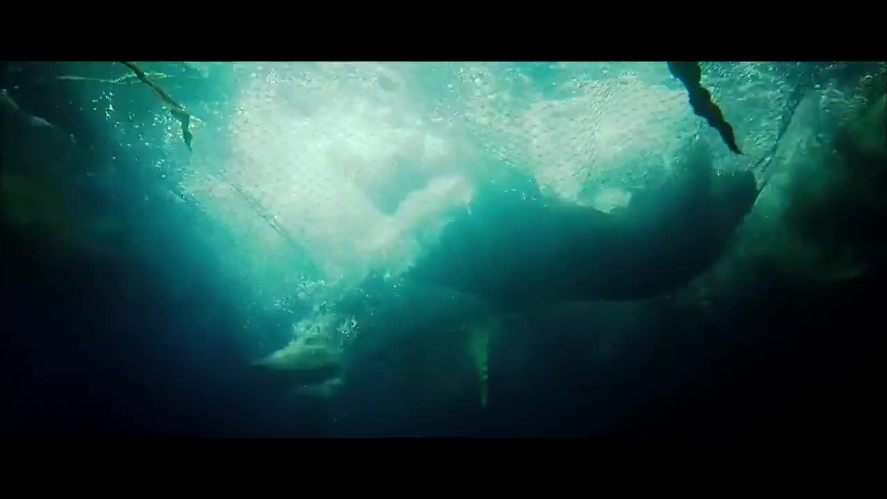 直击现实！你以为只是电影吗？