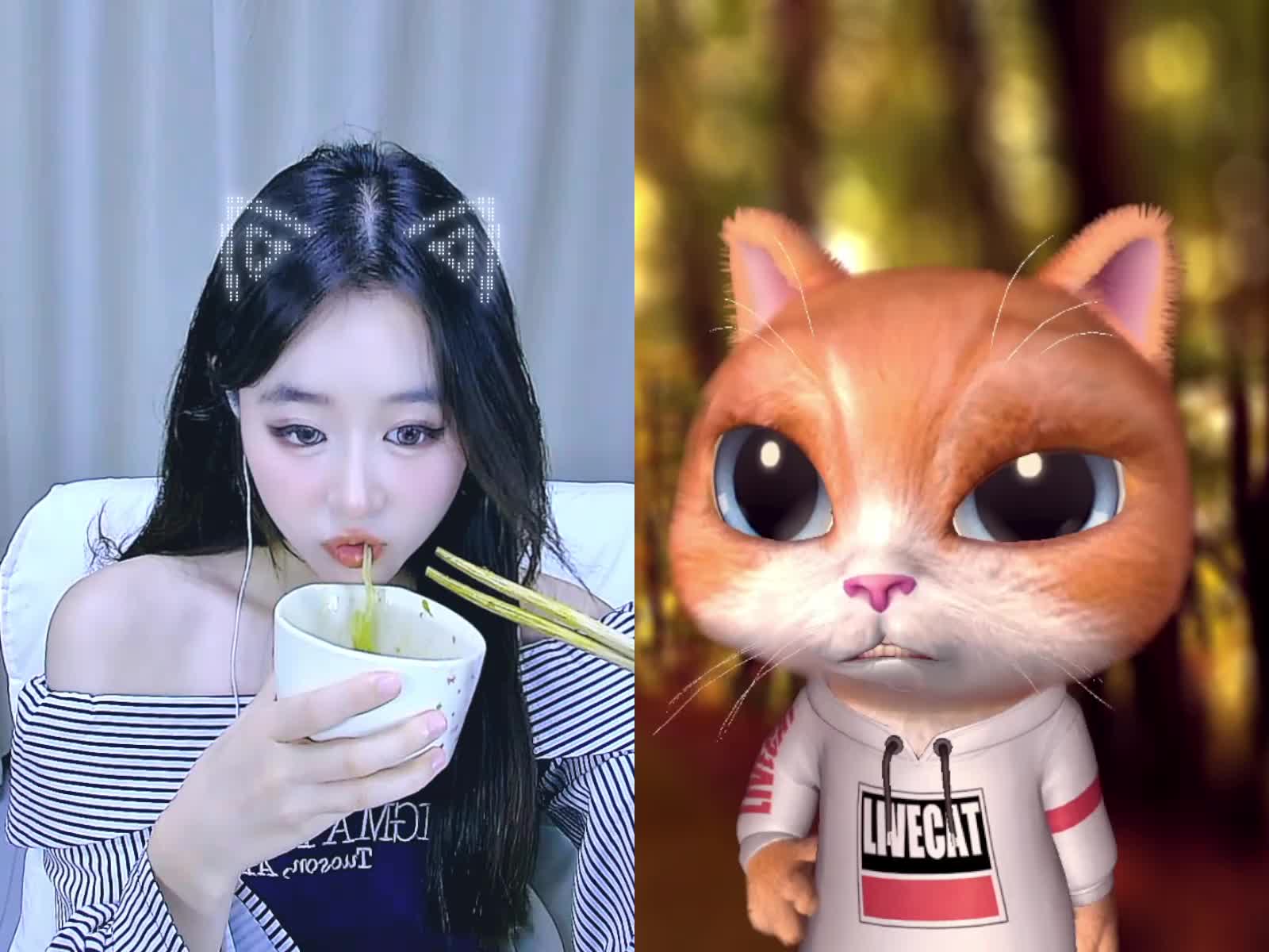 欢迎来到我的直播间
