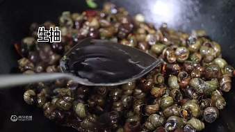 小九的直播