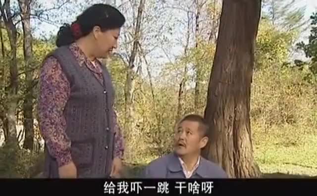 刘老根 再难重现的经典好剧