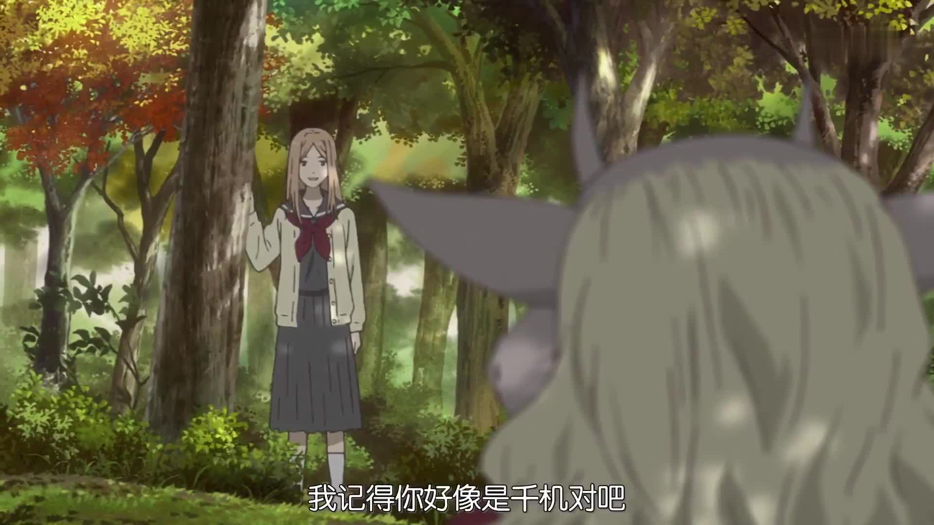 谁能拒绝夏目和猫咪老师？夏目两季连看！