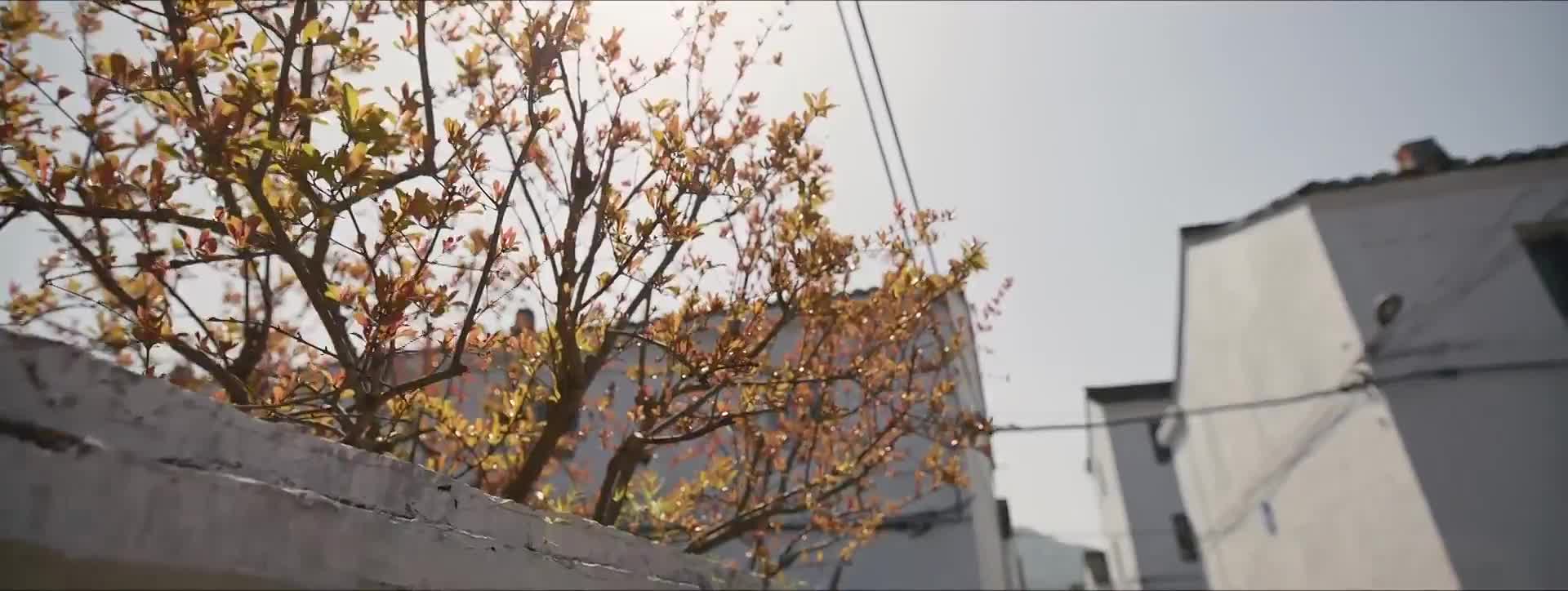 那个年代的故事很真实