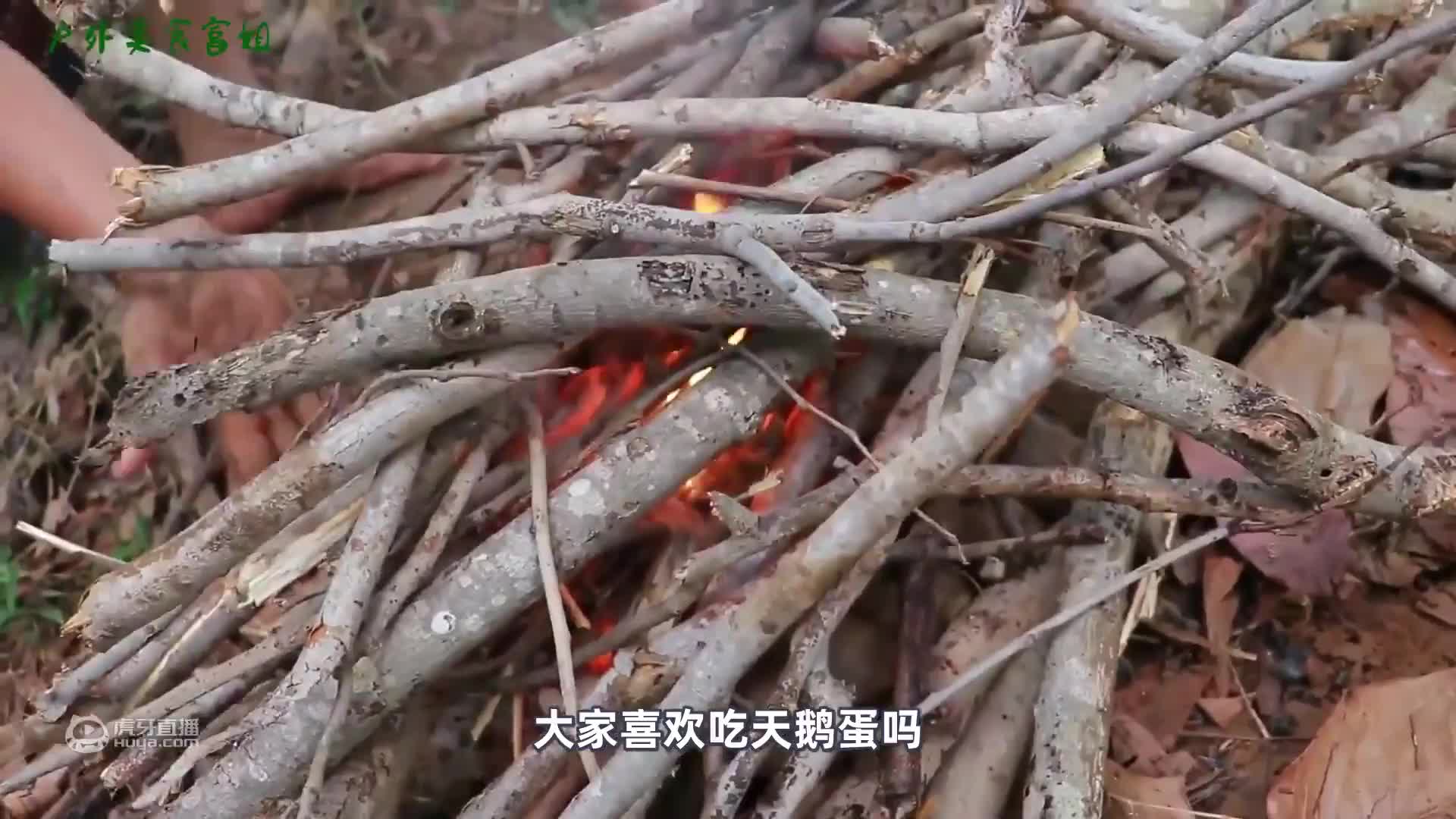 独自生活在雨林里是什么体验？到手的鸭子还差点飞了，幸亏追得快