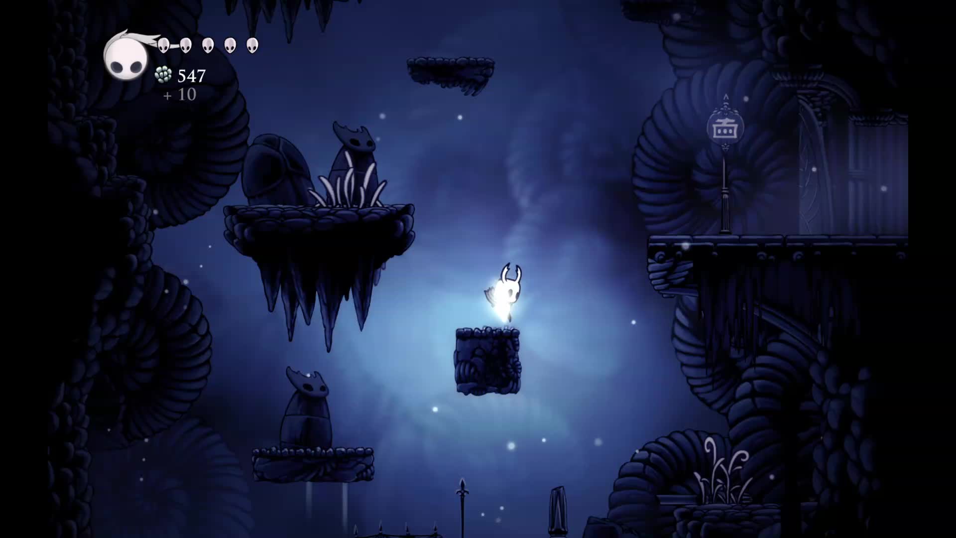 欢迎来到我的直播间