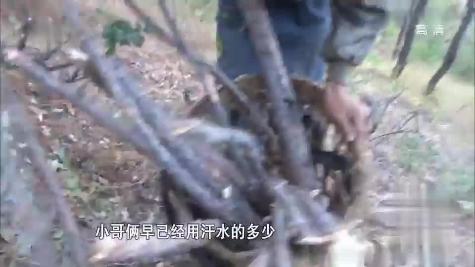 城市娃vs农村娃？叛逆少年的逆袭！