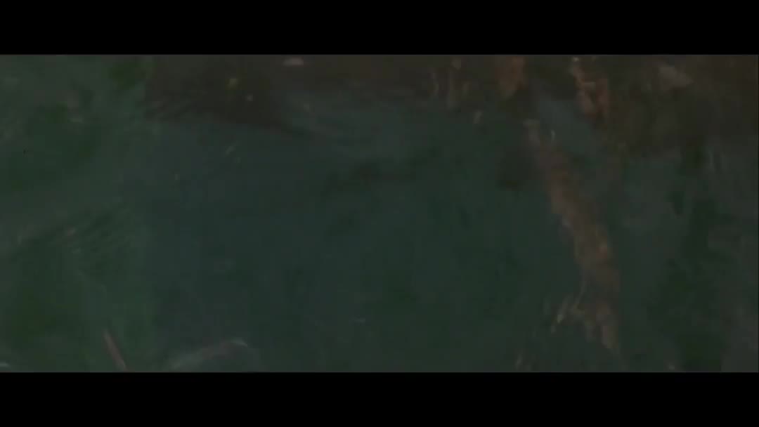 国外骗术艺术大赏！谁才是套路之王？