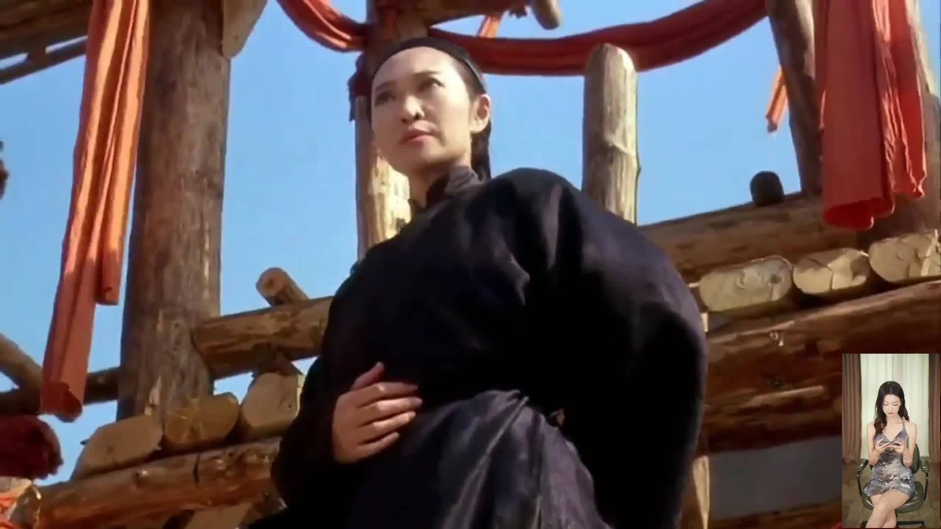 李连杰系列 武打高产王