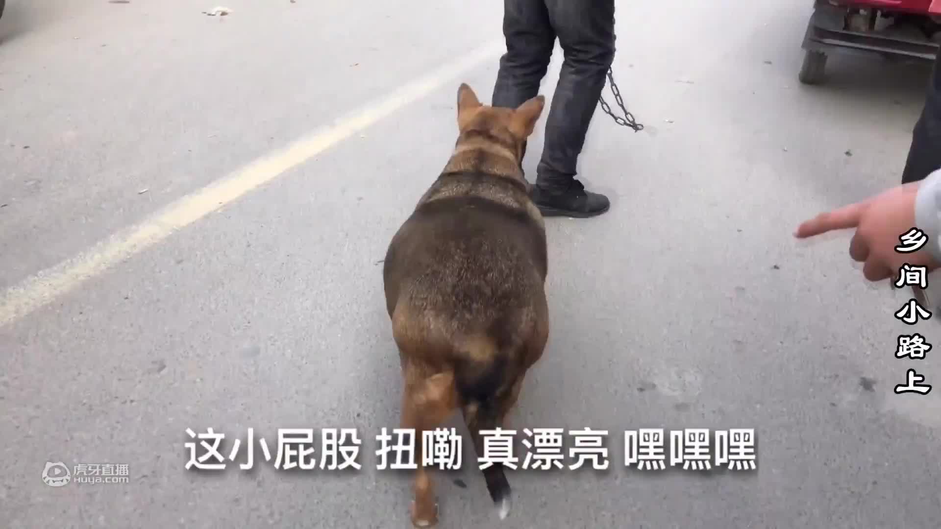 真是高手在民间，农村大哥用闲置东西做艘船，这样做他能成功吗？