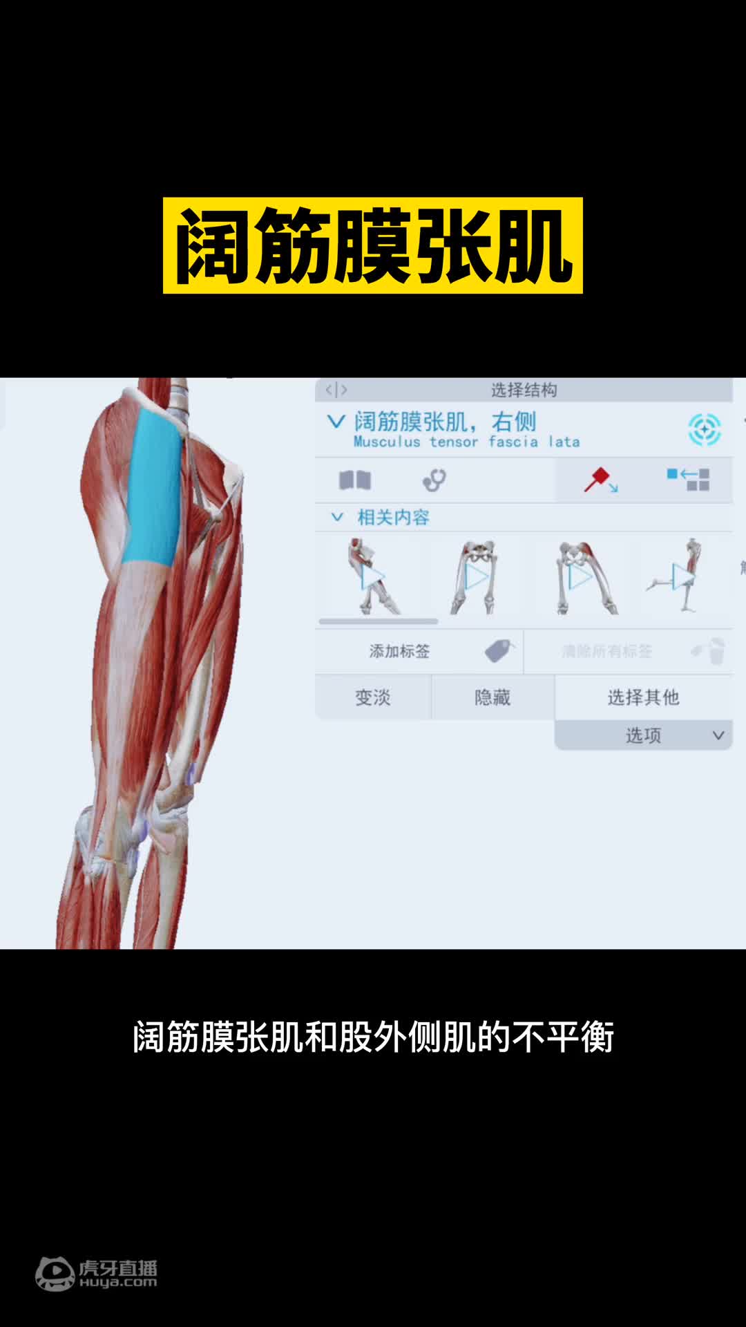 长时间久坐？找到腹部的发力感