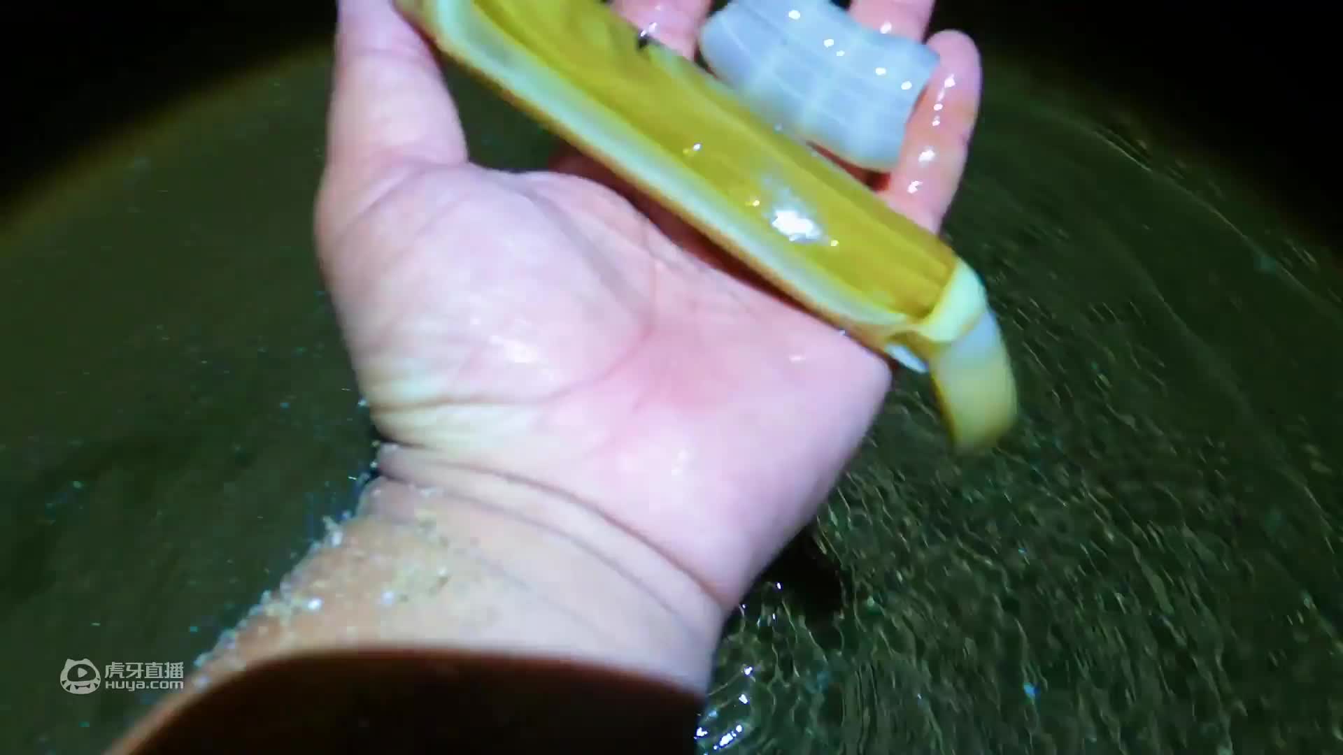 欢迎来到二强赶海的直播间