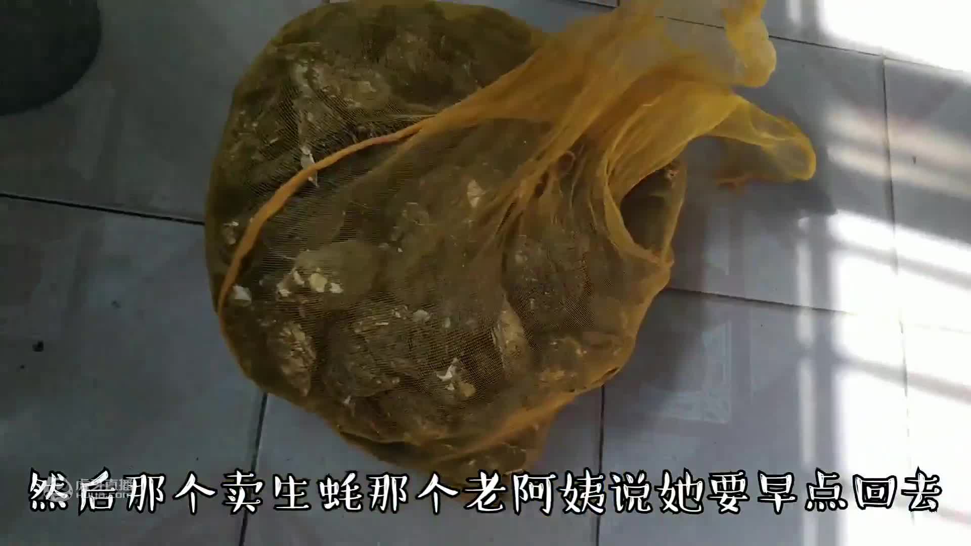 船长捕鱼经验丰富，出海就捕两条极品大黄鱼跟石斑鱼，赚了几千元
