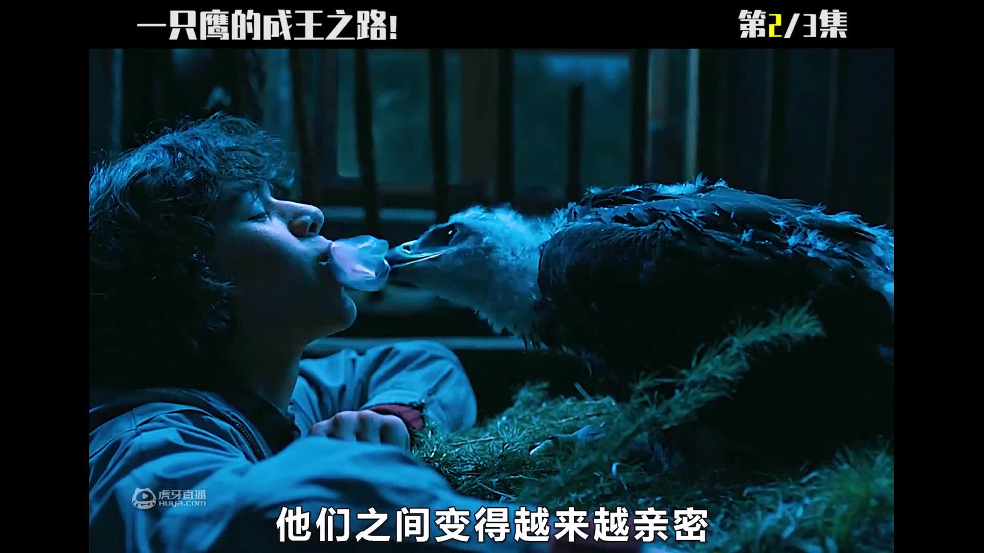 一部还未发生的真人真事！一场不要抬头的谎言，让人类遭遇了灭绝（上）