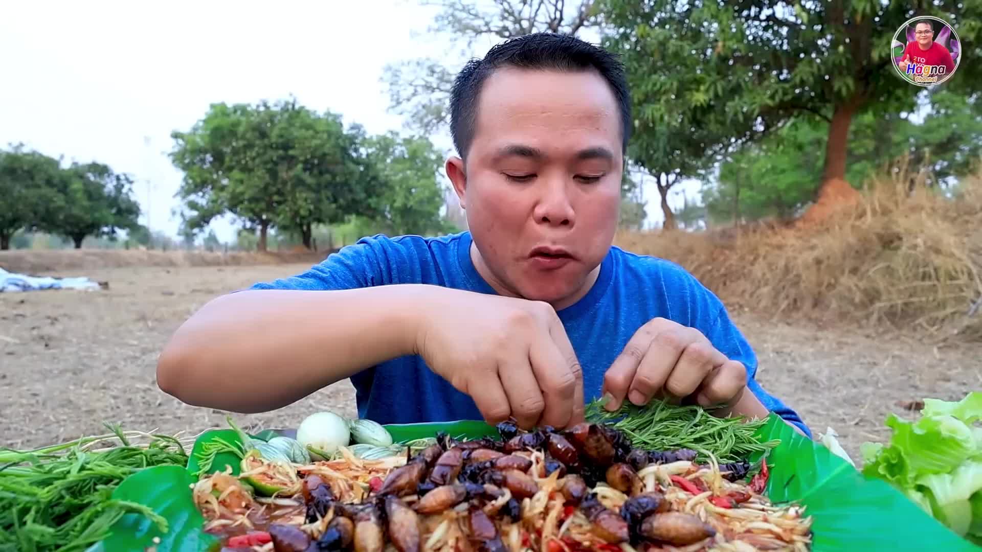 萨瓦迪卡 嗯哼哥 铃铛大叔 咕咕脆 皮弄