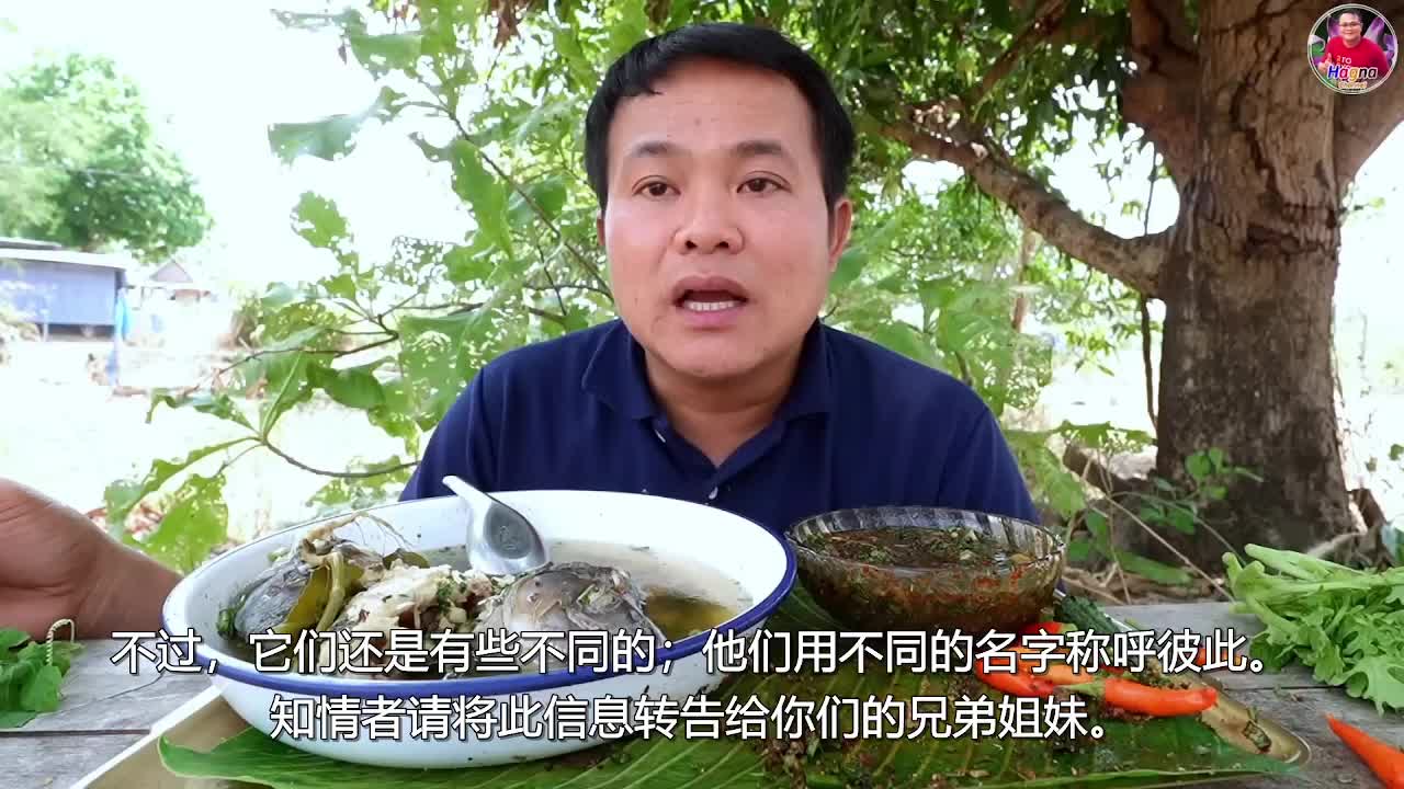 萨瓦迪卡 嗯哼哥 铃铛大叔 咕咕脆 皮弄