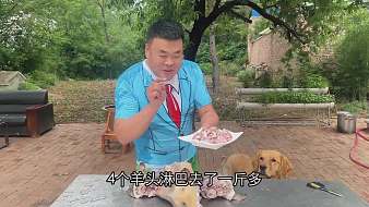 【炊煙大壯】原創(chuàng)直播_【炊煙大壯】視頻直播 - 虎牙直播