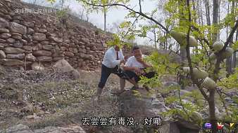 【炊煙大壯】原創(chuàng)直播_【炊煙大壯】視頻直播 - 虎牙直播