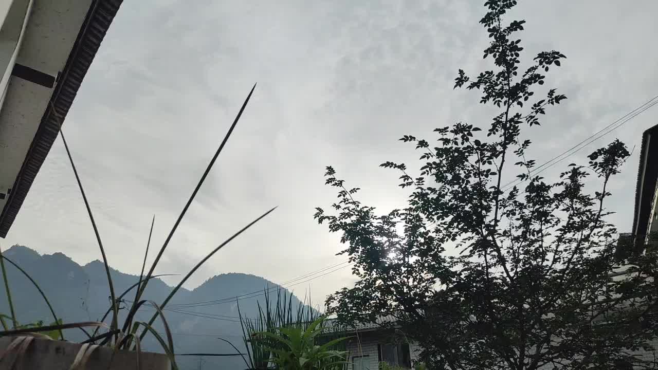 欢迎来到我的直播间