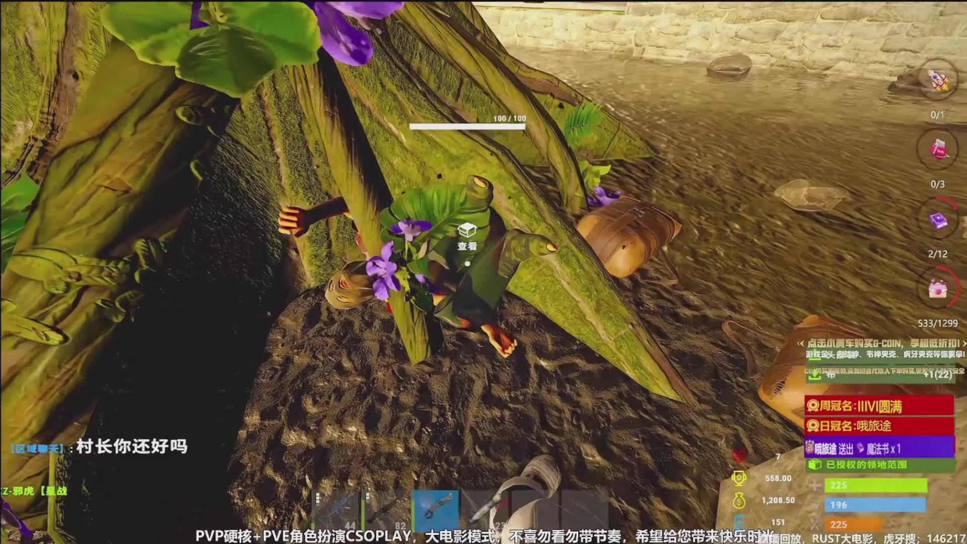 rust抄家中