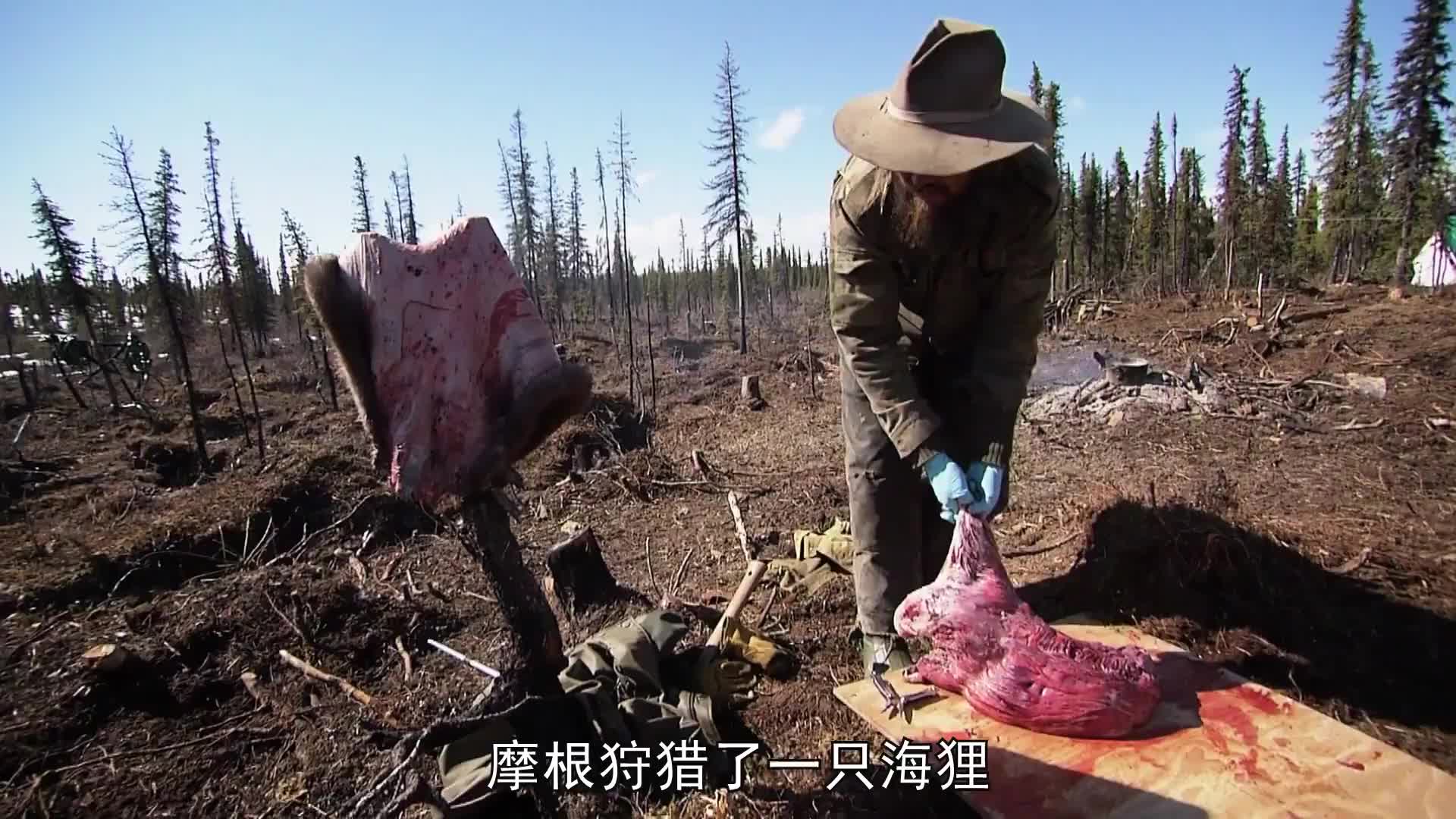 山地硬汉：抓到海狸，驱赶灰熊，制作驱蚊剂，打造菜园