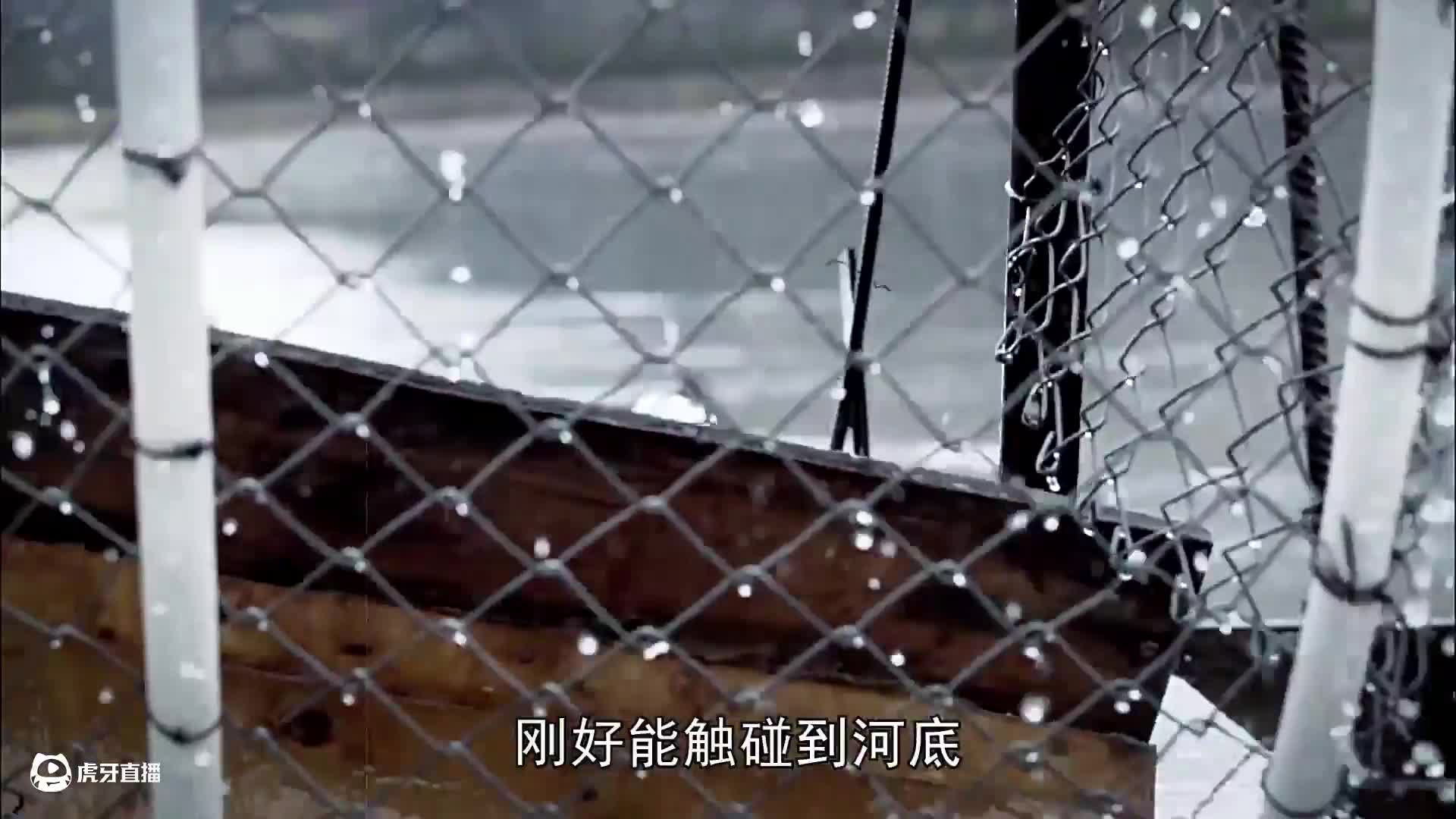 零度以下的生活33：处理驼鹿肉，鱼轮车捕鱼