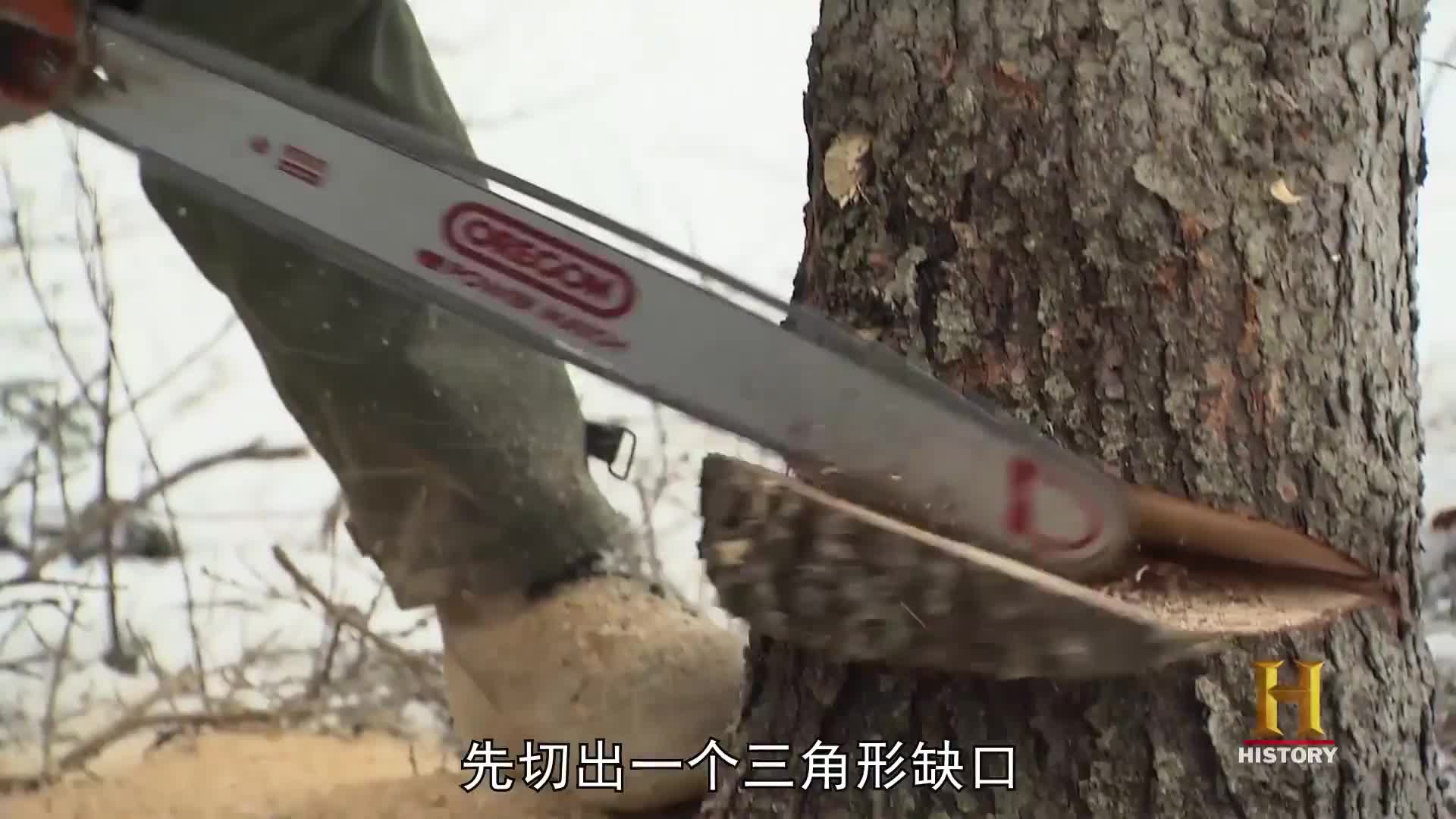 山地硬汉：建造木屋，诱捕松貂，处理毛皮