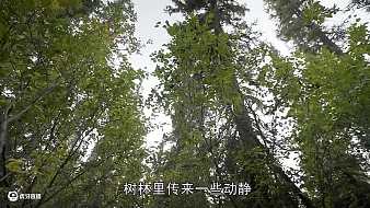 S哥影視原創(chuàng)直播_S哥影視視頻直播 - 虎牙直播