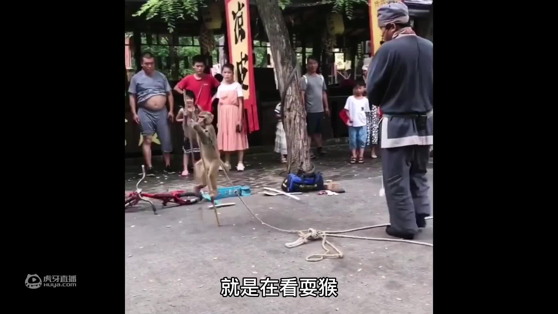 坚持和努力还要闹多久2？