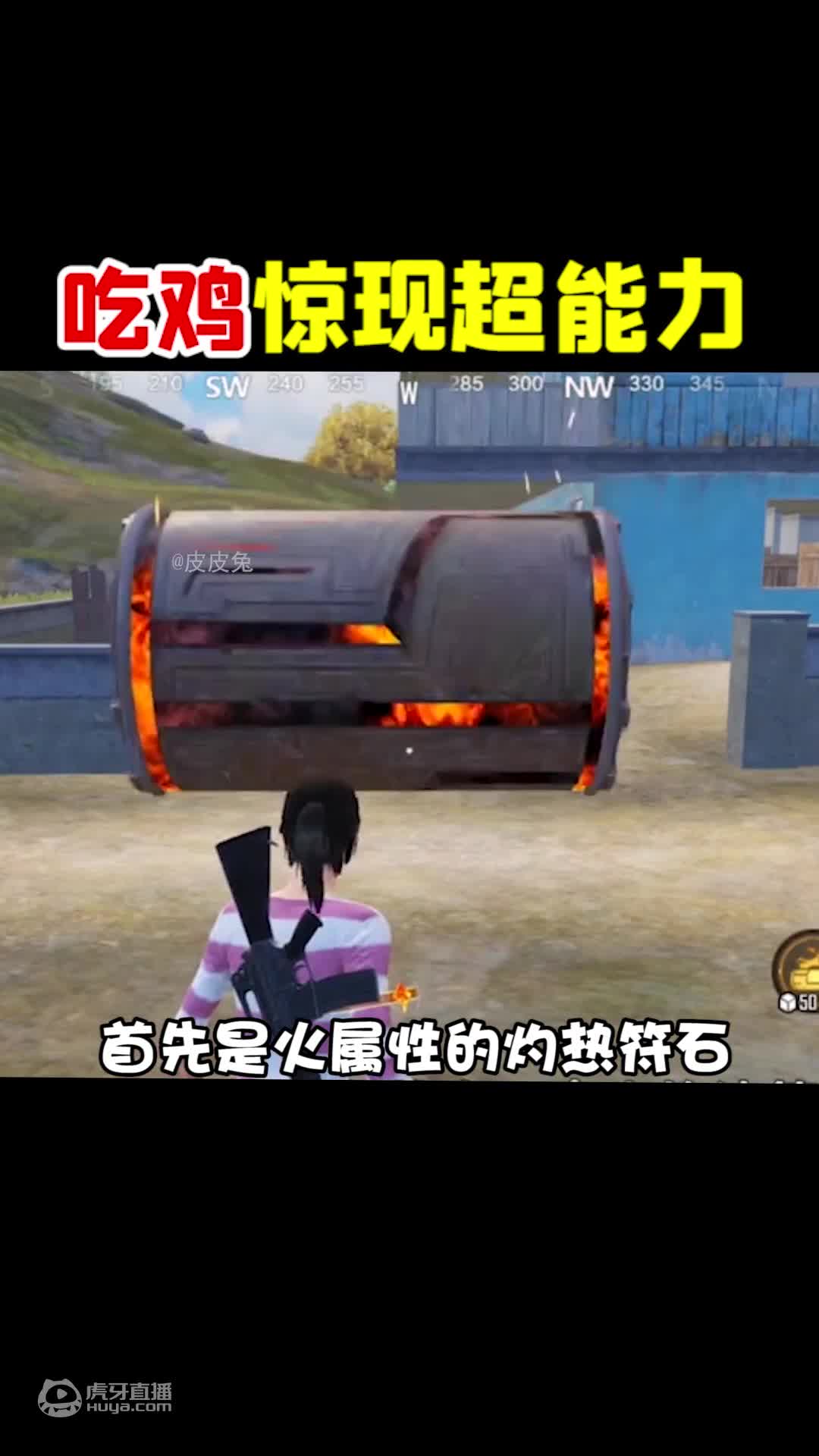 欢迎来到吃鸡皮皮兔的直播间