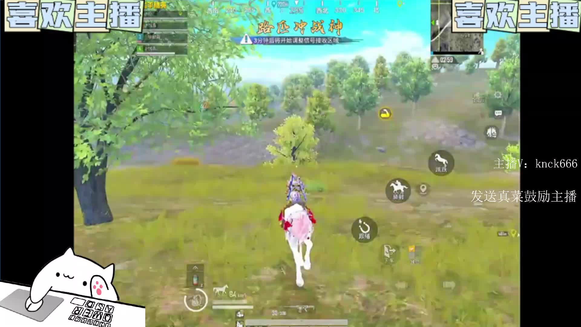 新主播第一次开播