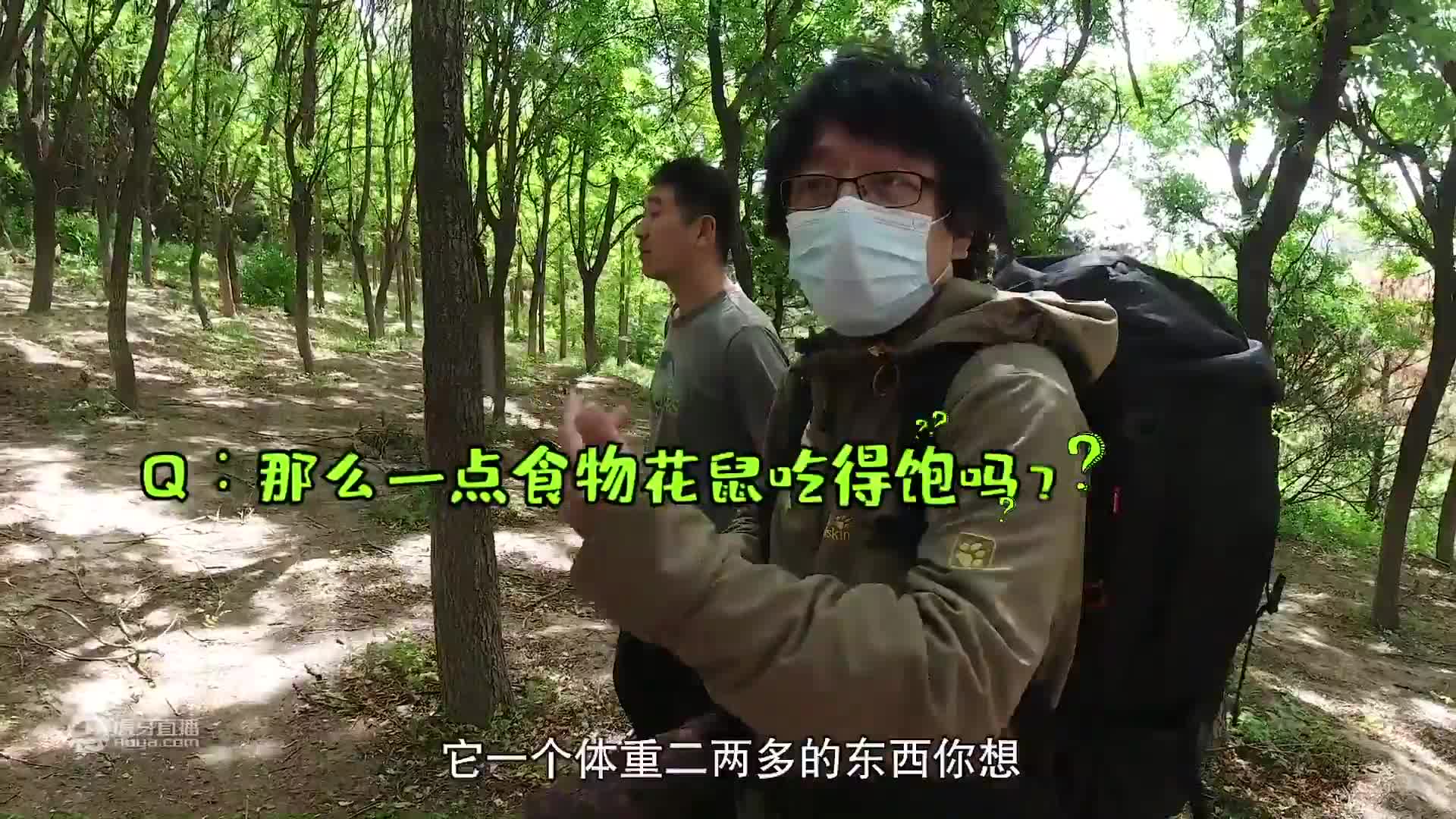 【宝藏同事】张瑜：教材画得不好就亲自去画！博物元老级插画师