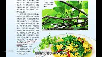 昵稱違規(guī)-vOnYcioi5o戶外直播_昵稱違規(guī)-vOnYcioi5o視頻直播 - 虎牙直播