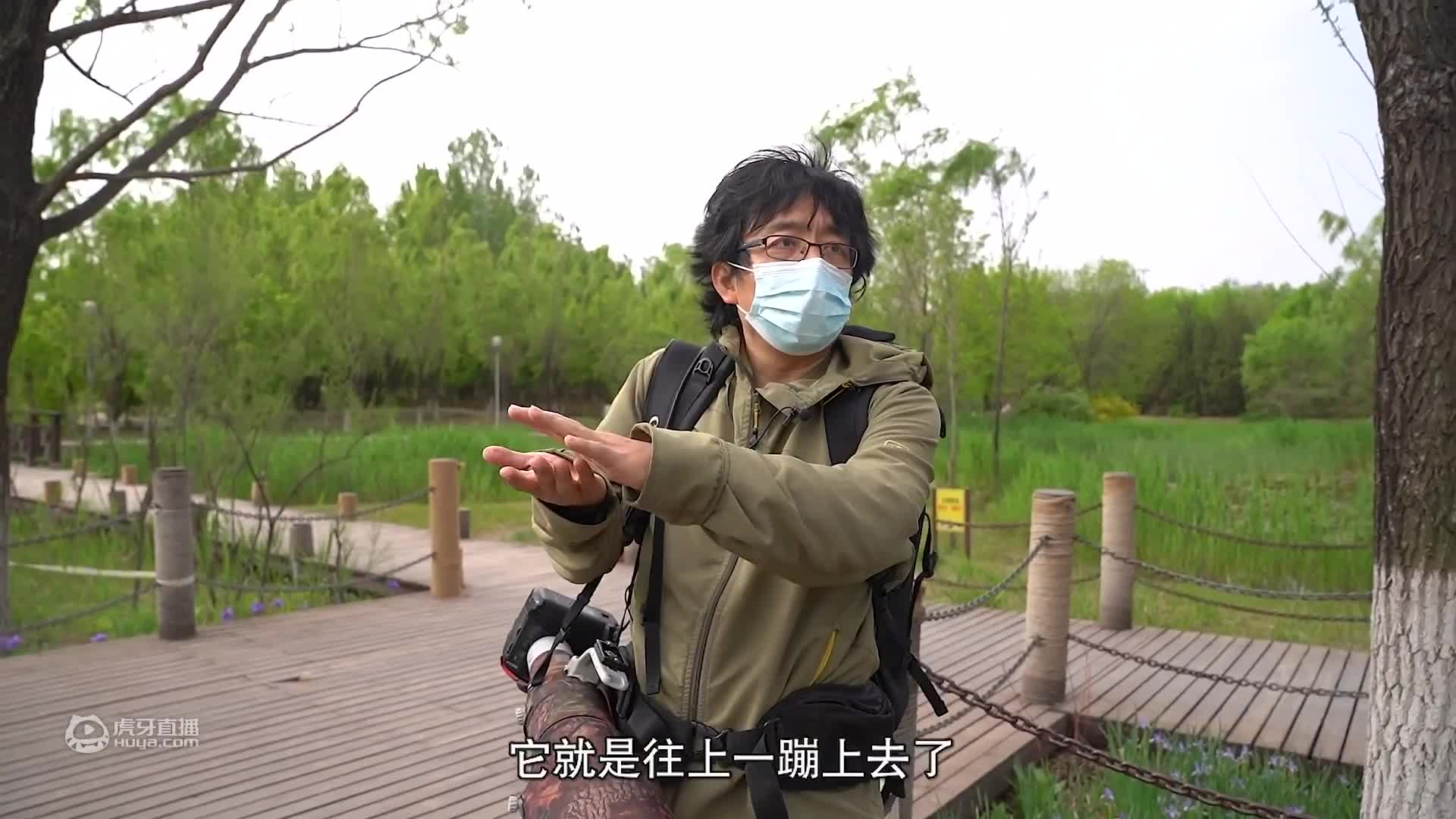 【宝藏同事】张瑜：教材画得不好就亲自去画！博物元老级插画师