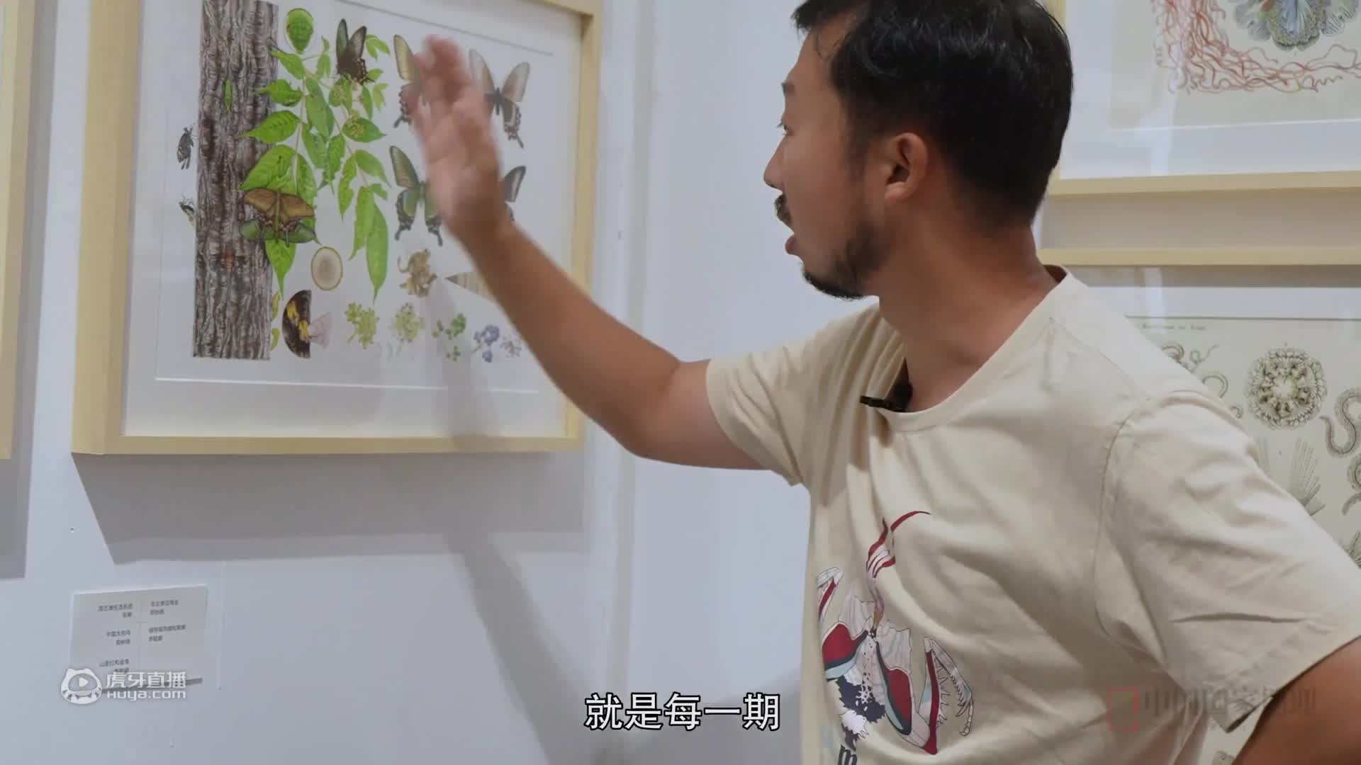 要想门票买得值，千万不能错过狐主任的这期讲解！