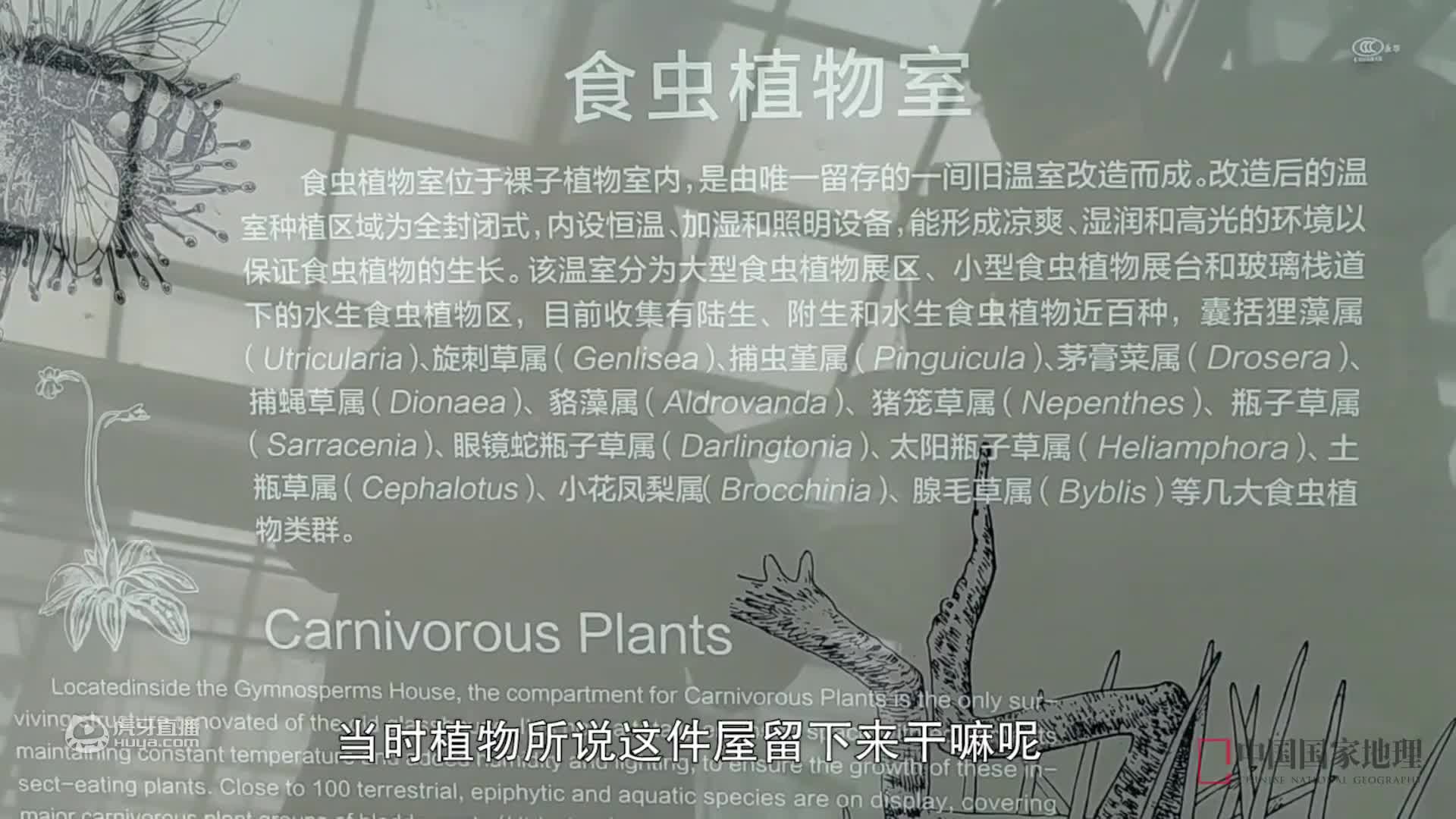 舔了一口中科院的食虫植物，竟然是这个味儿的？