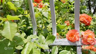 小虎牙-vOnYcioi5o戶外直播_小虎牙-vOnYcioi5o視頻直播 - 虎牙直播