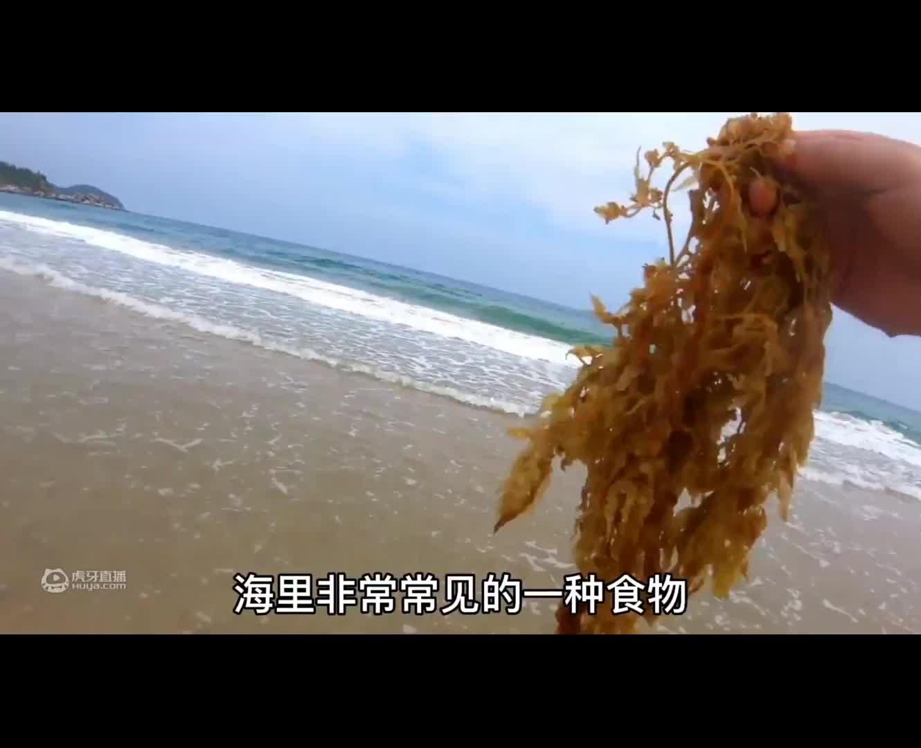 荒岛找到溶洞搭建庇护所