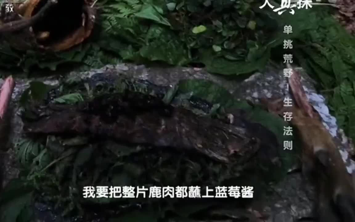 欢迎来到我的直播间