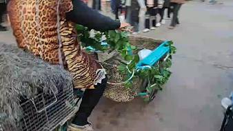 集夢旅行家【超跑-116】戶外直播_集夢旅行家【超跑-116】視頻直播 - 虎牙直播