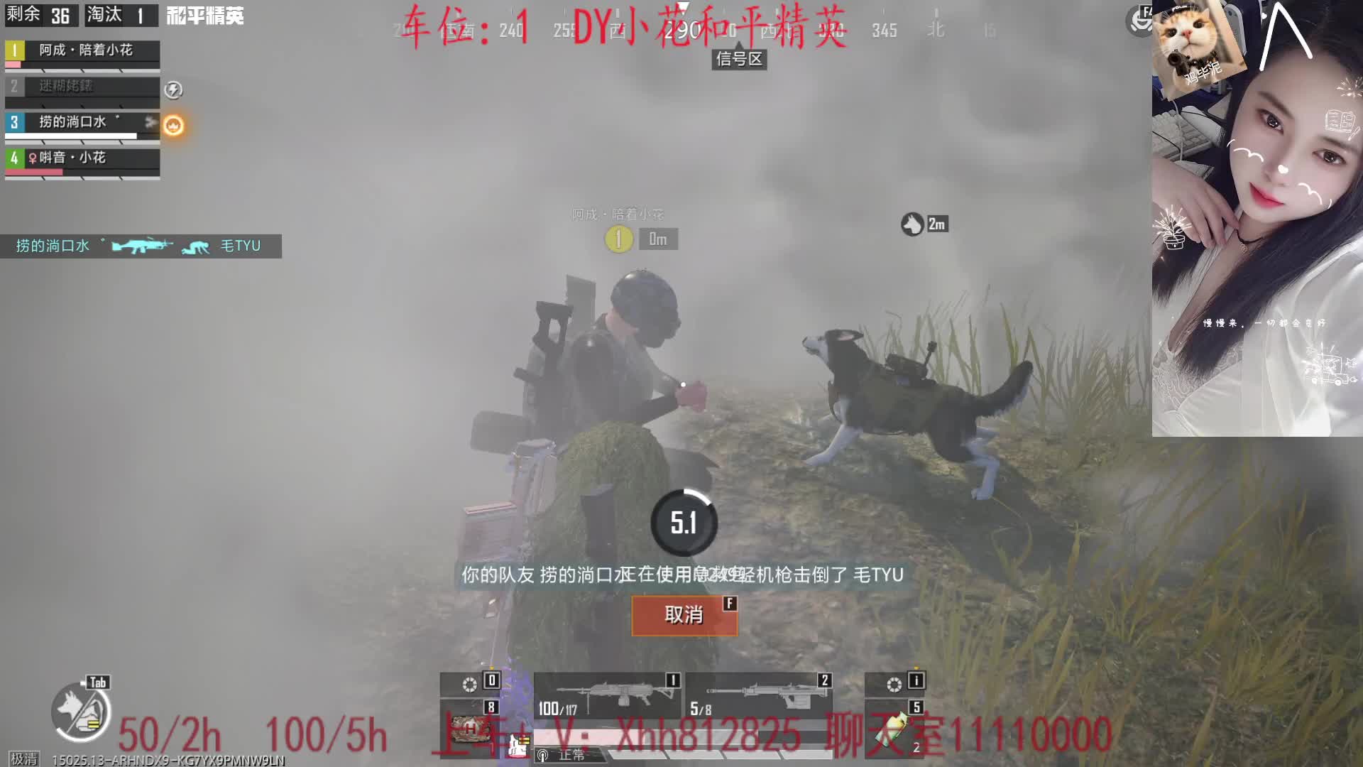 双区/晋级赛/古墓迷途/模拟器