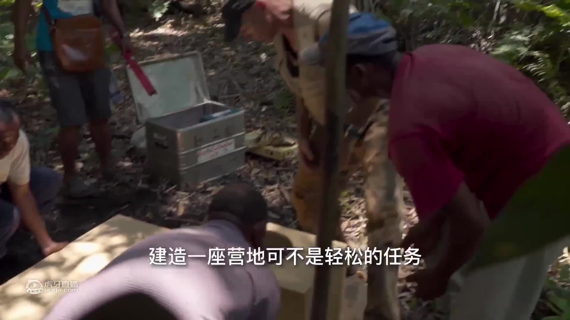 欢迎来到小翼看人文的直播间