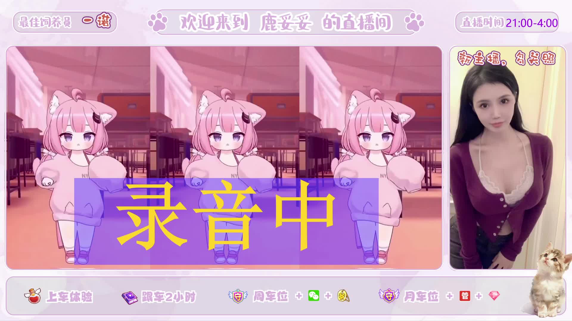 在线dd,奇葩多多