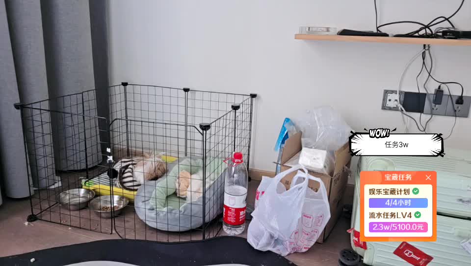 ✉️ baby 虎牙哥恭喜紫婷姐荣升公爵