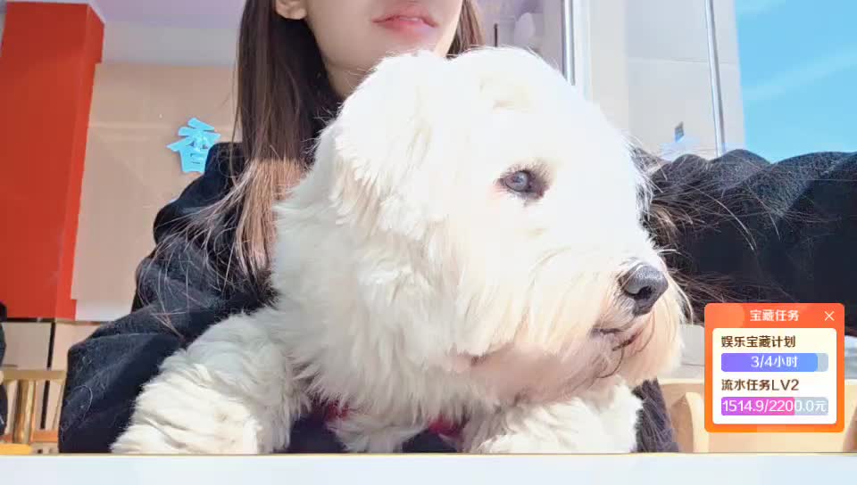  赶路 回村的诱惑～