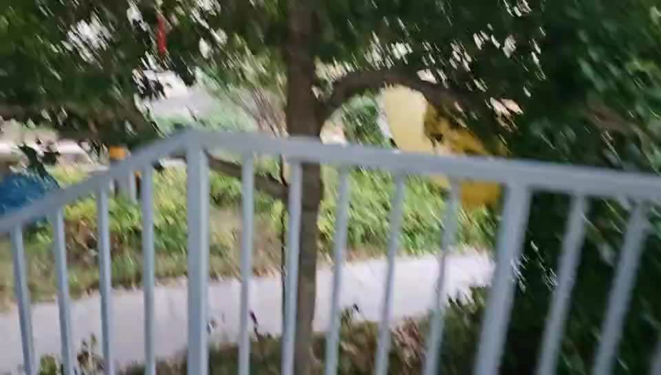 到团播地山顶上了