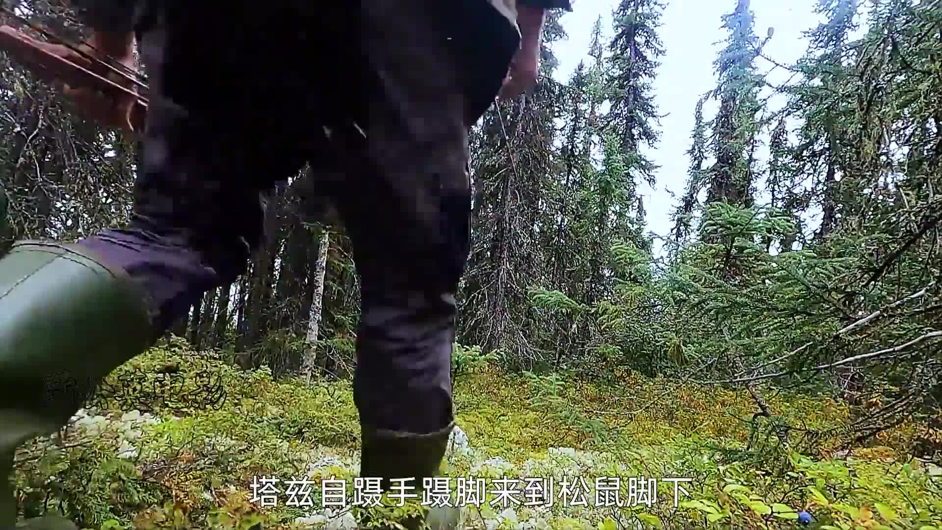 7男3女荒野求生，大佬的猎物吃不完，菜鸟饿的半夜失眠，纪录片