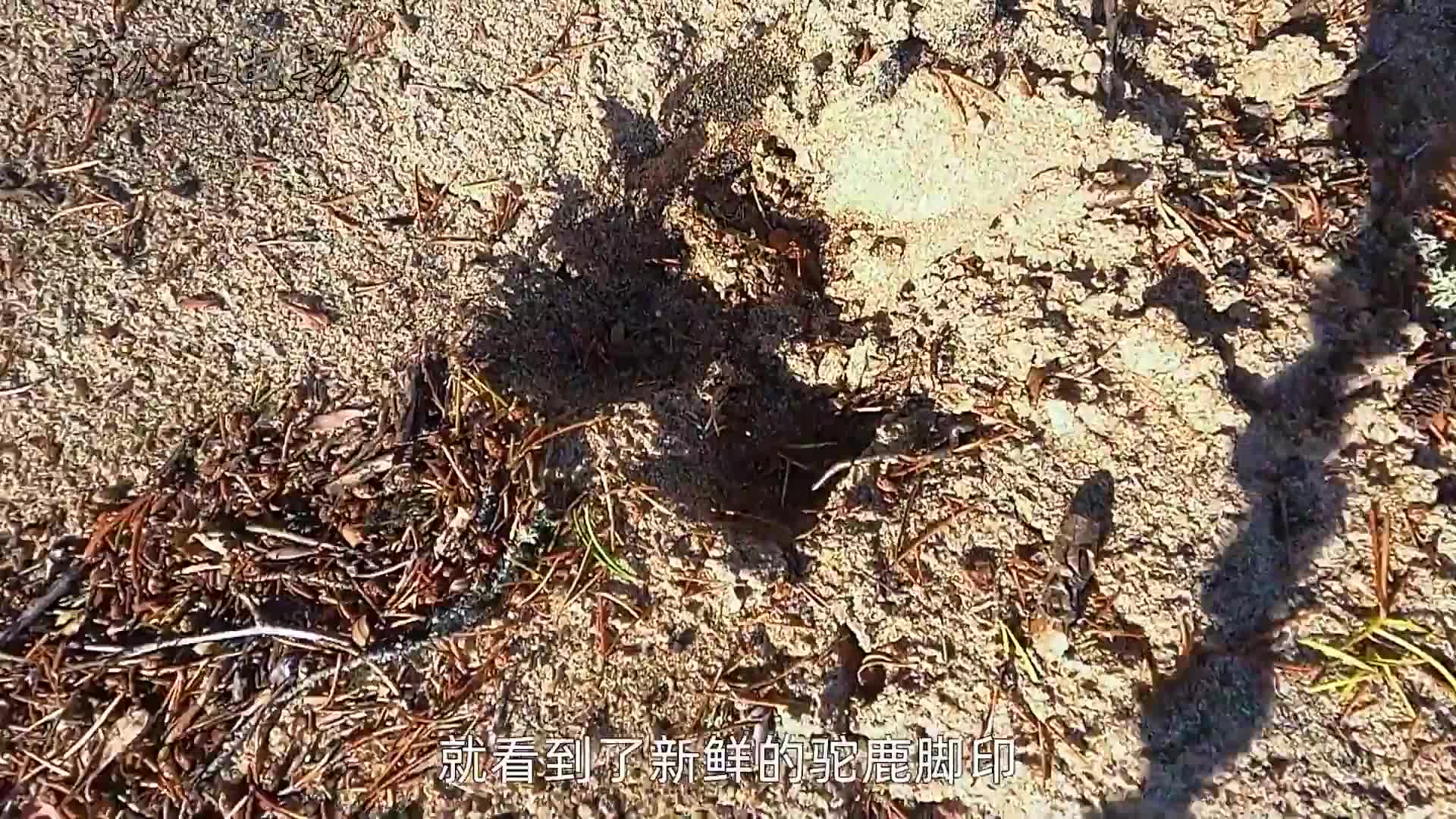 7男3女荒野求生，大佬的猎物吃不完，菜鸟饿的半夜失眠，纪录片
