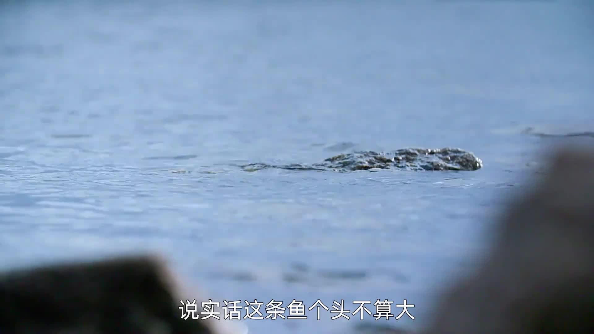 7男3女荒野求生，大佬的猎物吃不完，菜鸟饿的半夜失眠，纪录片
