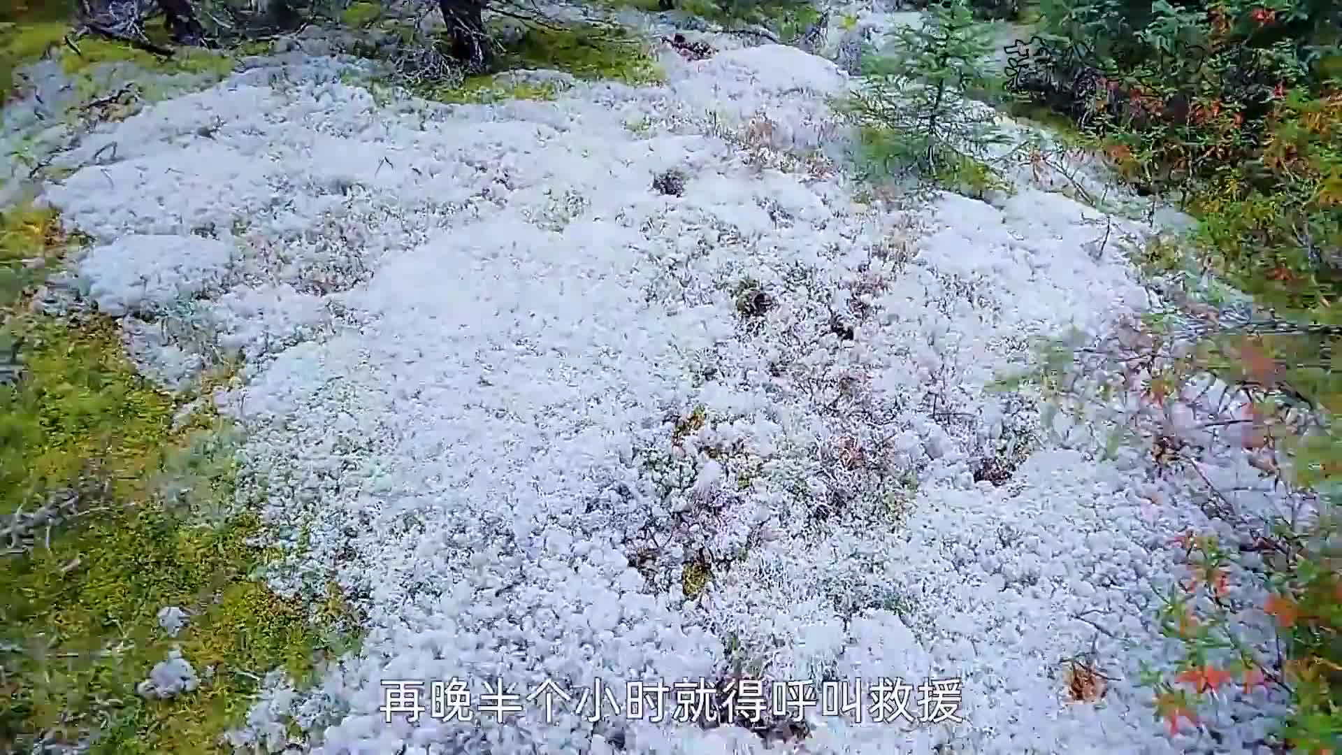 7男3女荒野求生，大佬的猎物吃不完，菜鸟饿的半夜失眠，纪录片