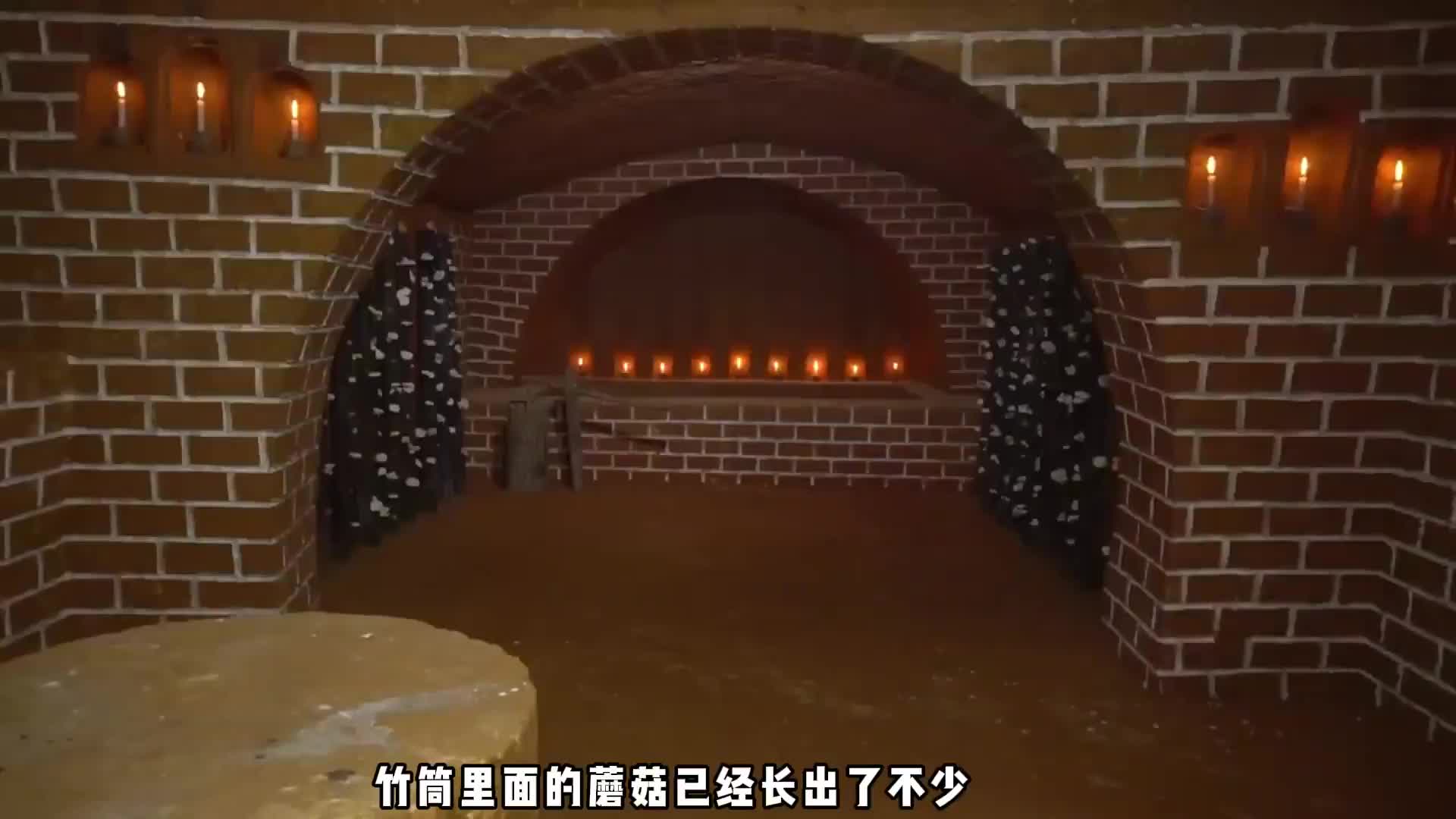 极寒狂风下的地下防空洞，为了躲避猛兽，大门特意设计成50公分